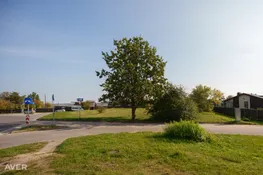 Liepāja, Liepāja, Slapjā 8