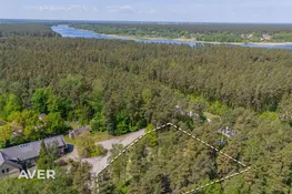 Mārupes nov., Salas pagasts, Sikspārņi, Spuņciems