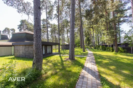 Viesnīca Pine Resort