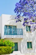 Dzīvoklis Kato Paphos