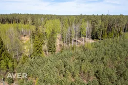 Saulkrastu nov., Saulkrastu pagasts