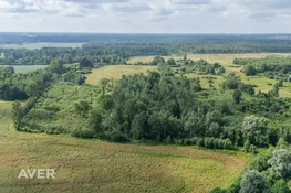 Bauskas nov., Vecumnieku pagasts