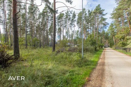 Mārupes nov., Salas pagasts, Aļņu salas 4a