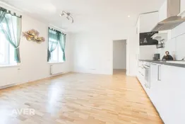 Saulains un plašs  3 istabu dzīvoklis renovētā ēkā