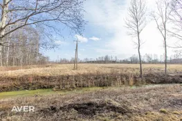 Salaspils nov., Salaspils, Bitenieki