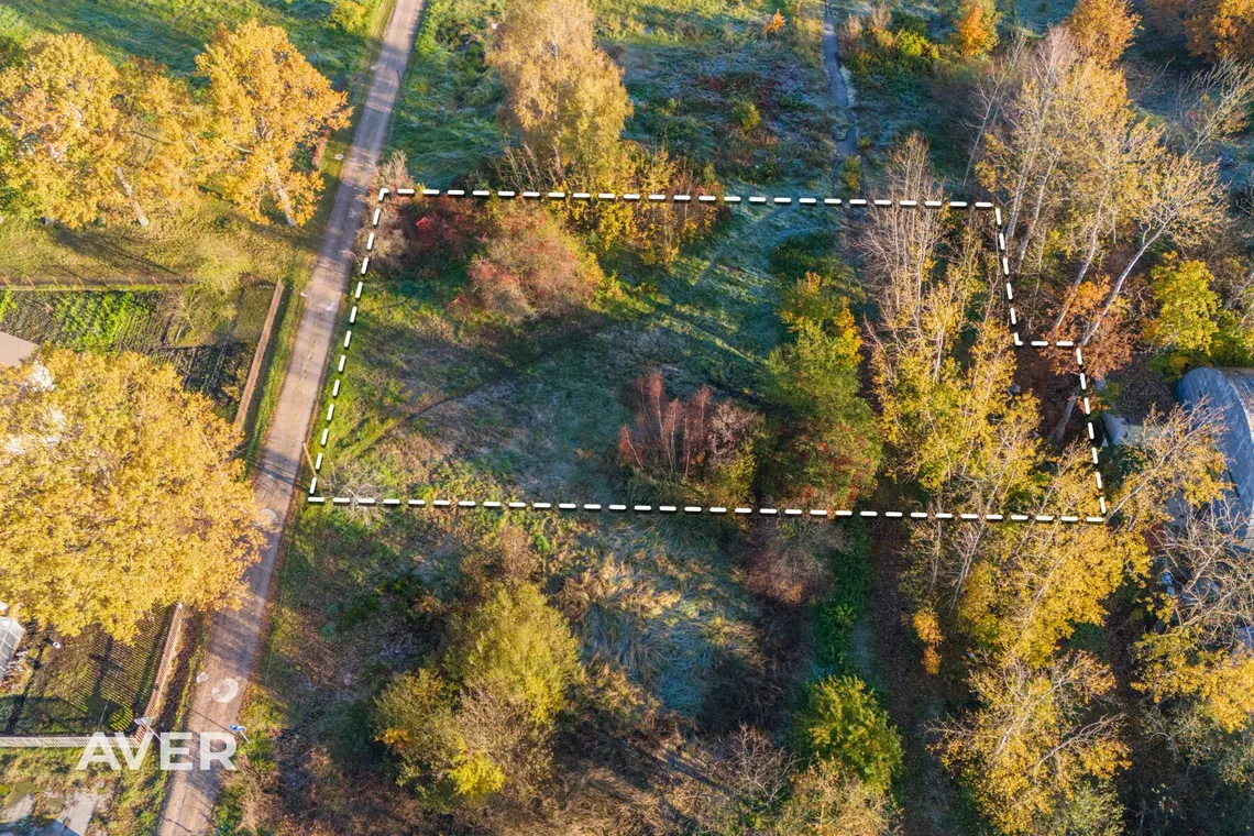 Ocject image