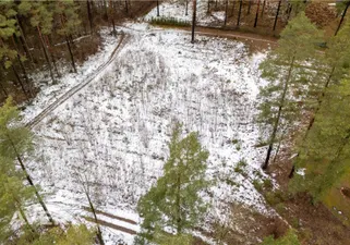Object image 4