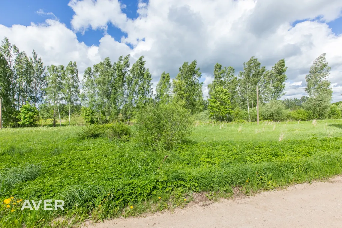 Ocject image