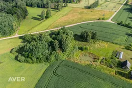 Bauskas nov., Iecava, Pikas