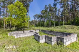 Mārupes nov., Salas pagasts, Sikspārņi, Spuņciems