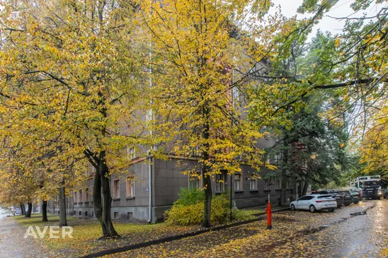 Dzīvoklis