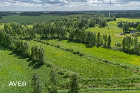 Bauskas nov., Vecumnieku pagasts