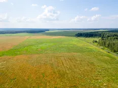 Valmieras nov., Burtnieku pagasts, Irbītes