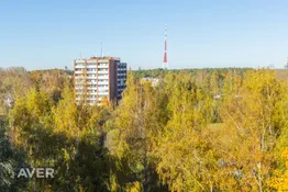 Dzīvoklis ar skatu virs priedēm Valdlaučos