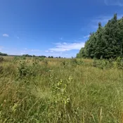 Jēkabpils nov., Leimaņu pagasts