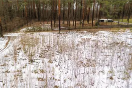 Ogres nov., Ikšķile, Remeiķu Čiekuri
