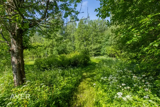 5-istabu māja ar 1,33ha lielu teritoriju 5minūšu attālumā no Ādažiem.
