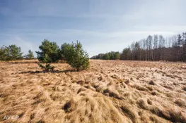 Talsu nov., Mērsrags, Svabadnieki