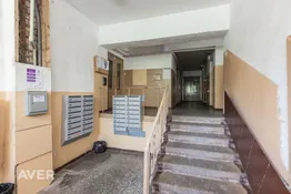 Dzīvoklis ar skatu uz mežu