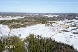 Savrupmāja pie Ļaudonas