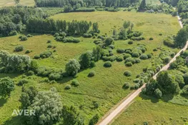 Bauskas nov., Vecumnieku pagasts