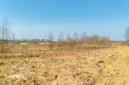 Ropažu nov., Kangari, Rozenes iela 4