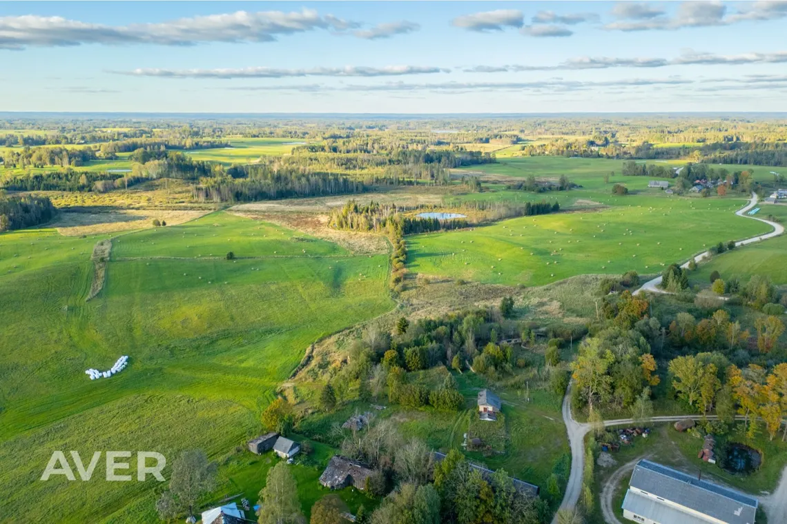 Ocject image