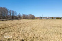 Mārupes nov., Salas pagasts, SPUŅCIEMS Pūpoli