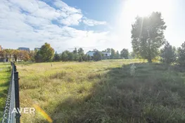 Rīga, Mežaparks, Jaunā Mežaparka iela 7