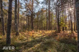 Talsu nov., Kolkas pagasts, Laukgaļi-3