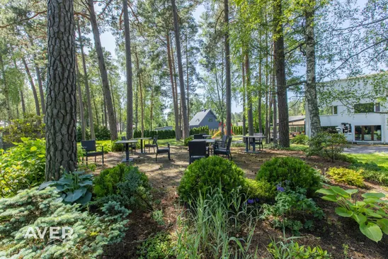 Viesnīca Pine Resort