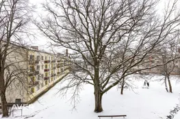 Kompakts dzīvoklis Cēsīs, zaļā apkārtnē.