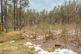 Ogres nov., Ikšķile, Remeiķu Čiekuri