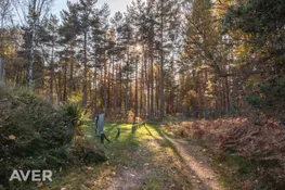 Talsu nov., Kolkas pagasts, Laukgaļi-3
