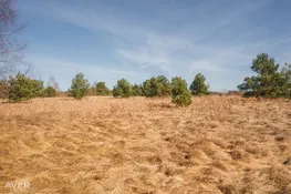 Talsu nov., Mērsrags, Svabadnieki