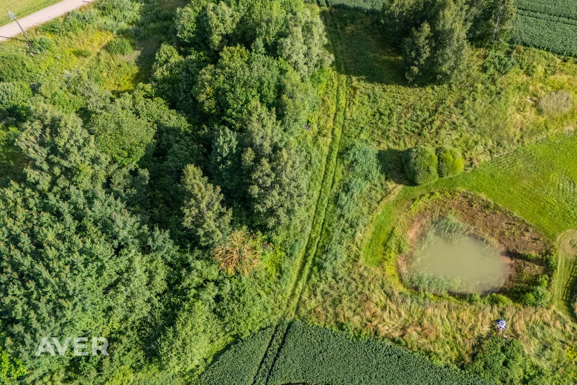 Ocject image