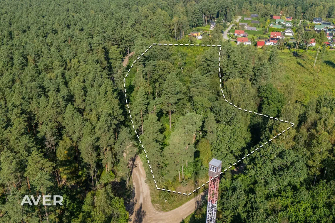 Ocject image