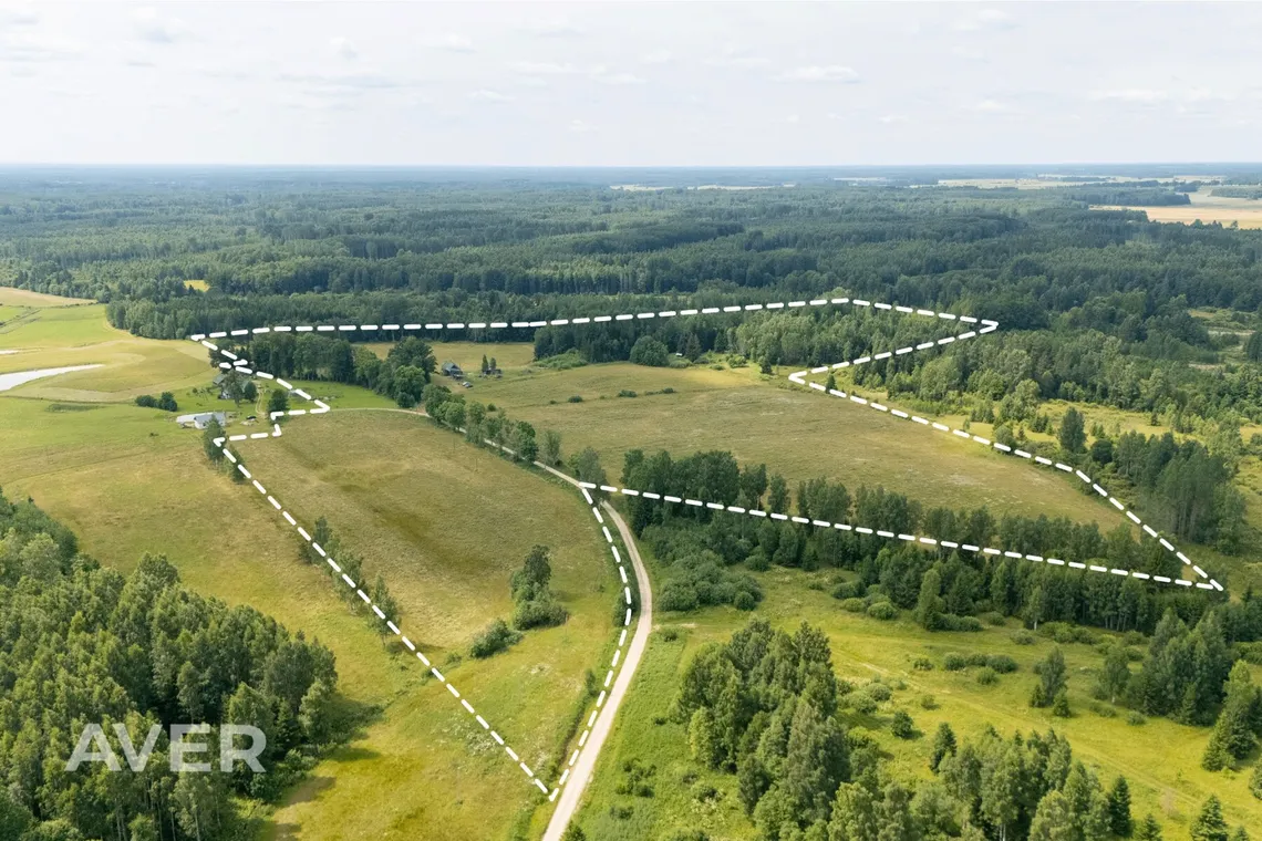 Ocject image