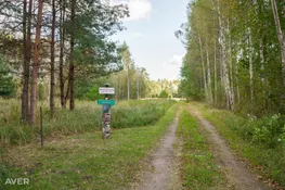 Avotiņi