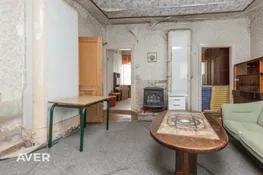 Ģimenes māja ar koptu, plašu zemesgabalu