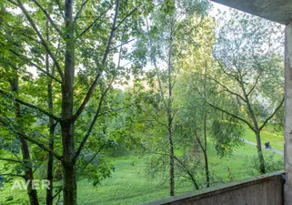 Object image 3