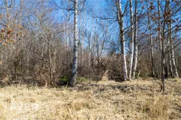 Jūrmala, Ķemeri, Stropu iela 11