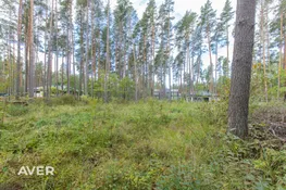 Mārupes nov., Salas pagasts, Aļņu salas 4a