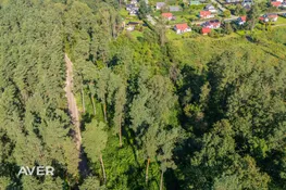 Ādažu nov., Stapriņi, Papardziedi
