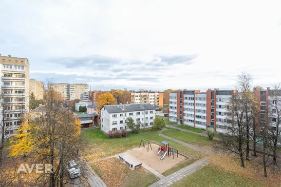 Puķu iela3-24, Jelgava