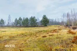 Valmieras nov., Valmiermuiža, Alejas 10a