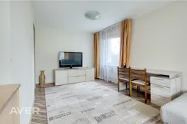Plašs vienistabas dzīvoklis
