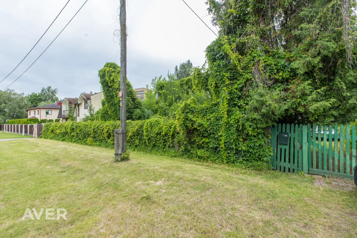 Ocject image