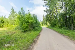 Dobeles nov., Bikstu pagasts, Ezersili