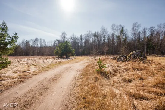 Talsu nov., Mērsrags, Svabadnieki